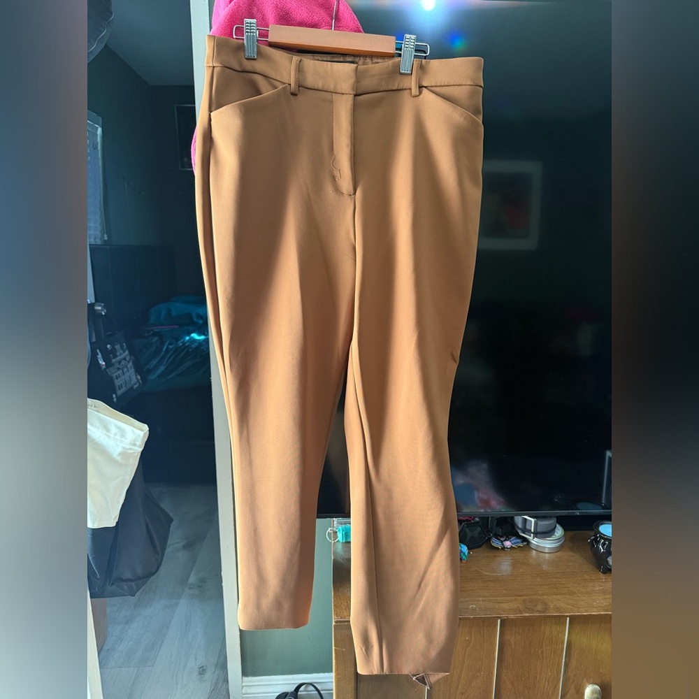Express Brown Trousers